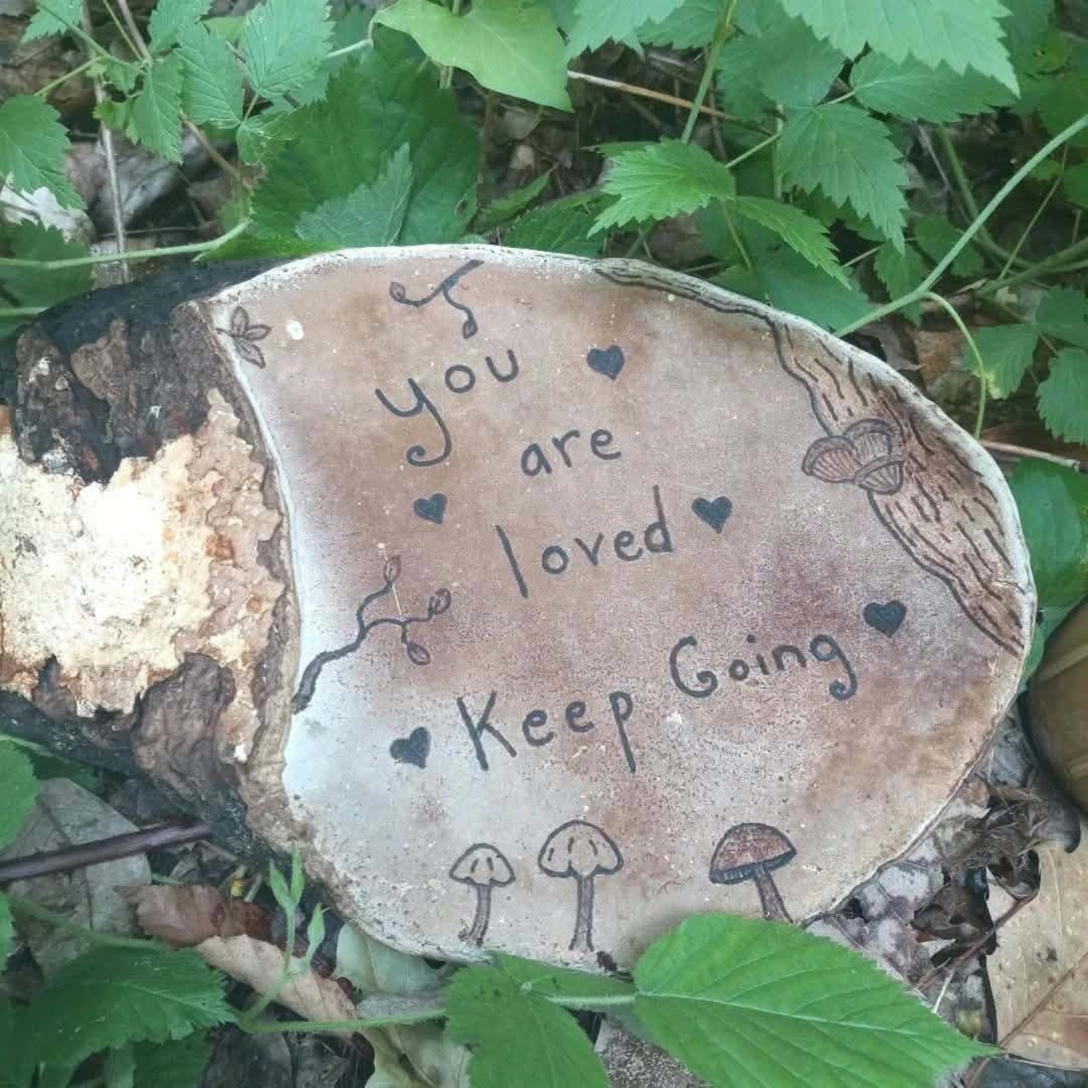 A handwritten woodland message on a shelf fungus: You are loved. Keep going.
